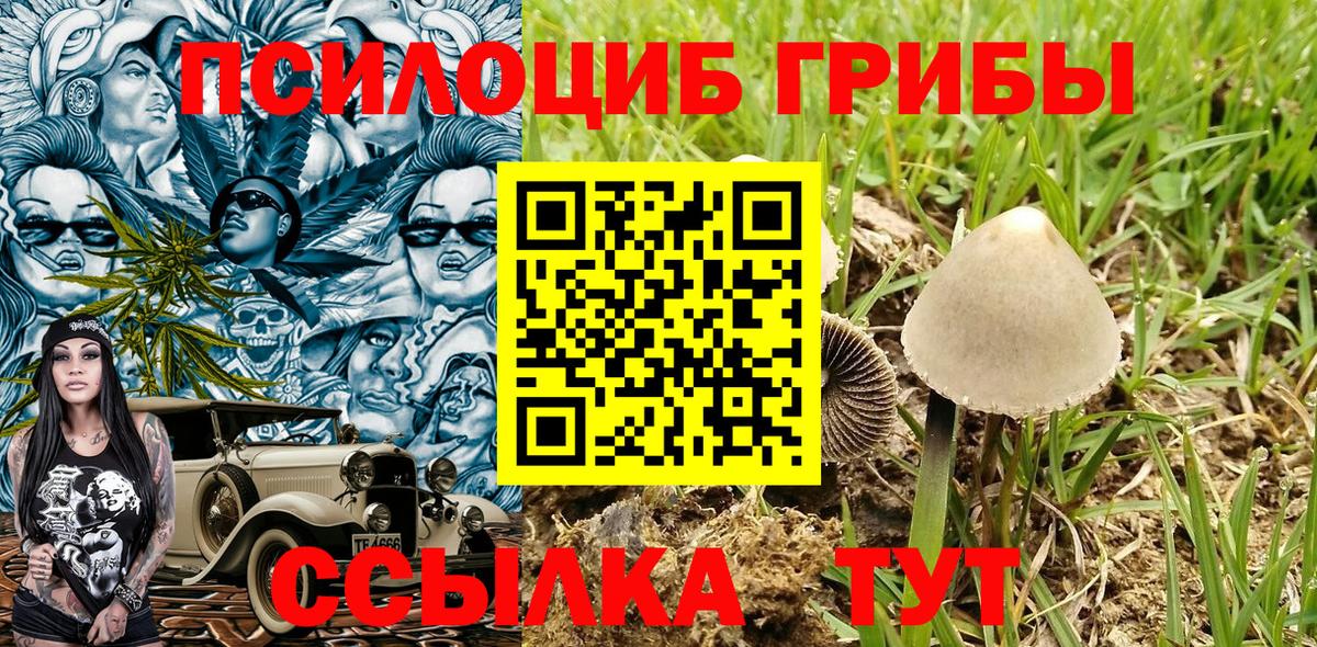 Ессентуки  Псилоцибиновые грибы ЛСД  Вход с VPN  Псилоцибиновые грибы Cubensis 
