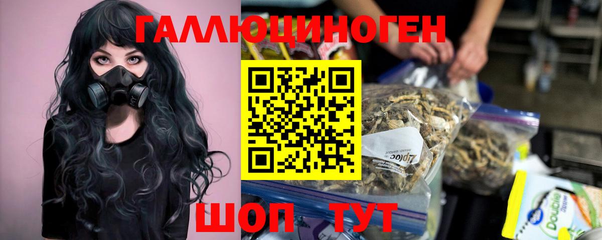 Галлюциногенные грибы мухоморы Ессентуки